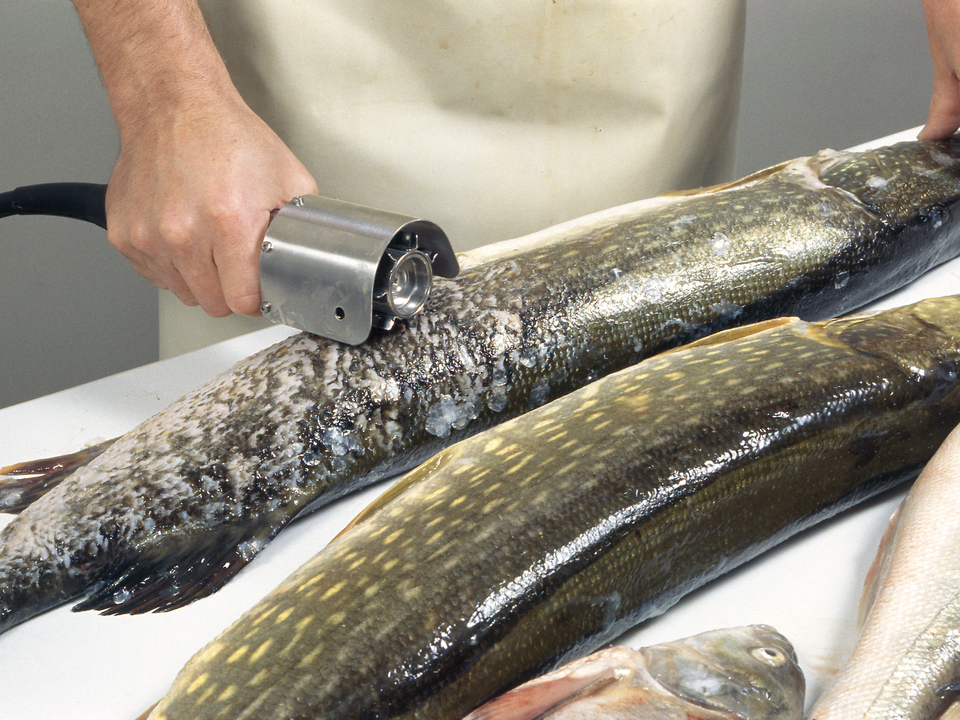 Рыбочистка ручная + Фото, описание рыбочитски: Кулинарика