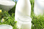 Молочные продукты польза и вред