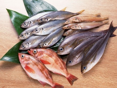 Рыба польза и вред для организма