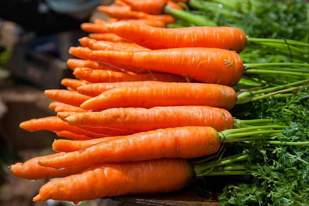Морковь польза и вред