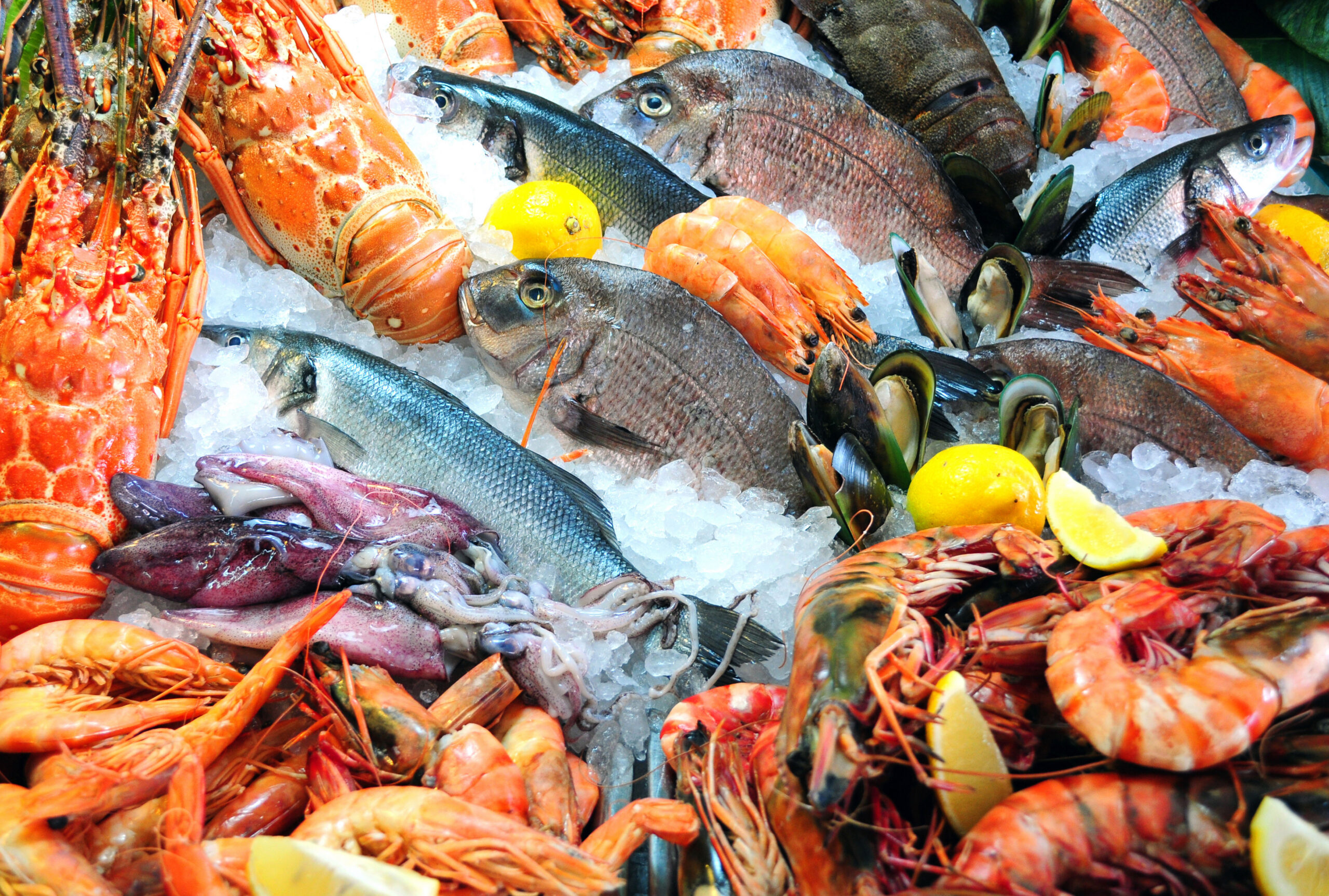 Почему стоит добавить в рацион рыбу и морепродукты?