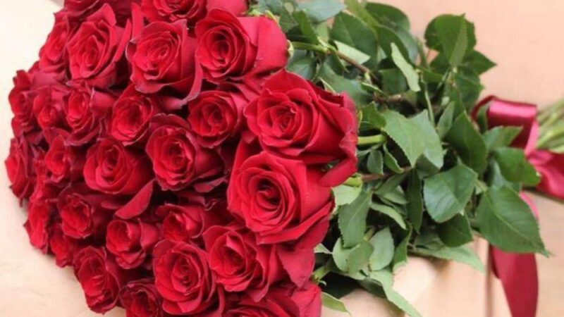 Почему женщины так любят розы?
