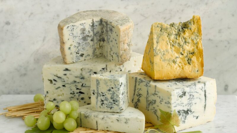 Сыр с плесенью: основные виды и особенности