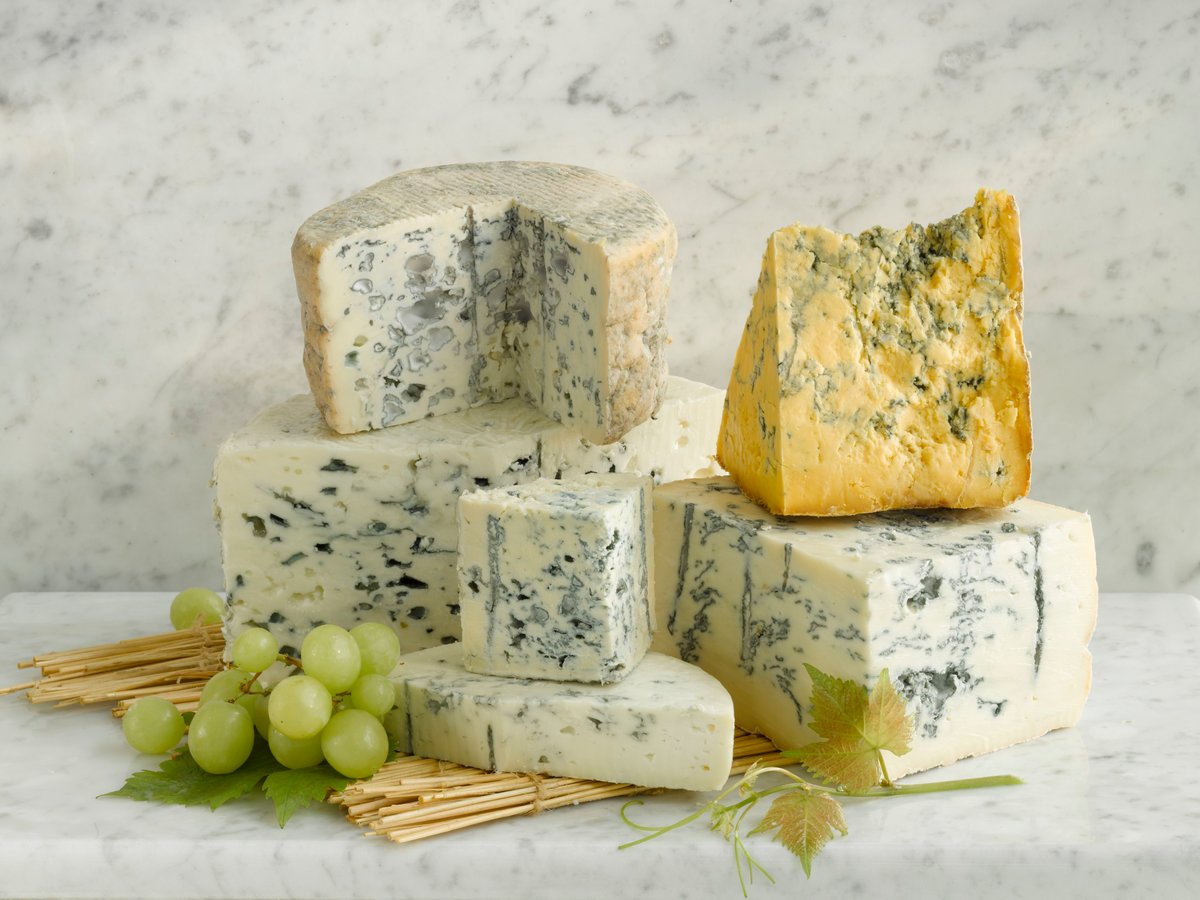 Сыр с плесенью: основные виды и особенности